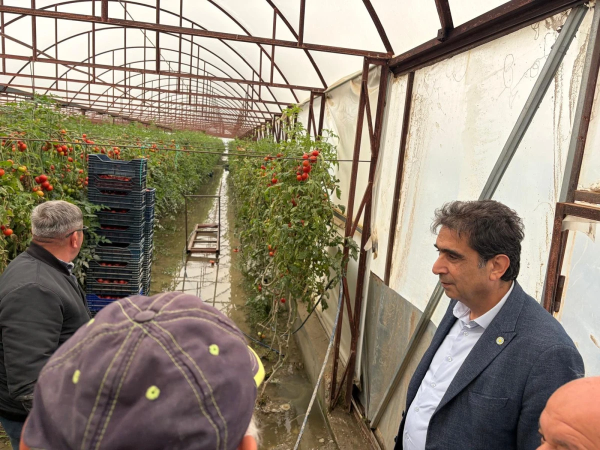 Ali Adnan Kaya: &ldquo;Bu iktidarı sel g&ouml;t&uuml;recek!&rdquo;