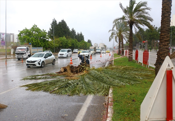Antalya'da Fırtınada Devrilen Ağaçlar Ve Uçan Çatı Parçaları Ekiplerce Temizlendi