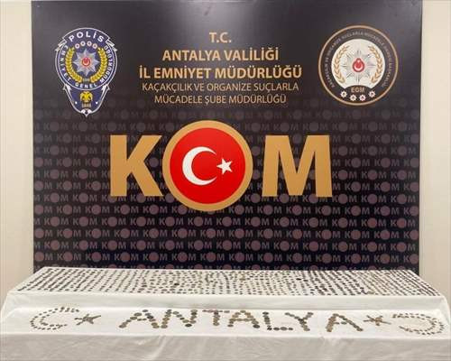 Antalya'da tarihi eser operasyonunda bir şüpheli yakalandı
