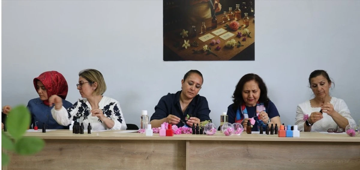 Burdur'un G&uuml;l Bah&ccedil;elerinde Hasat Mesaisi Başladı
