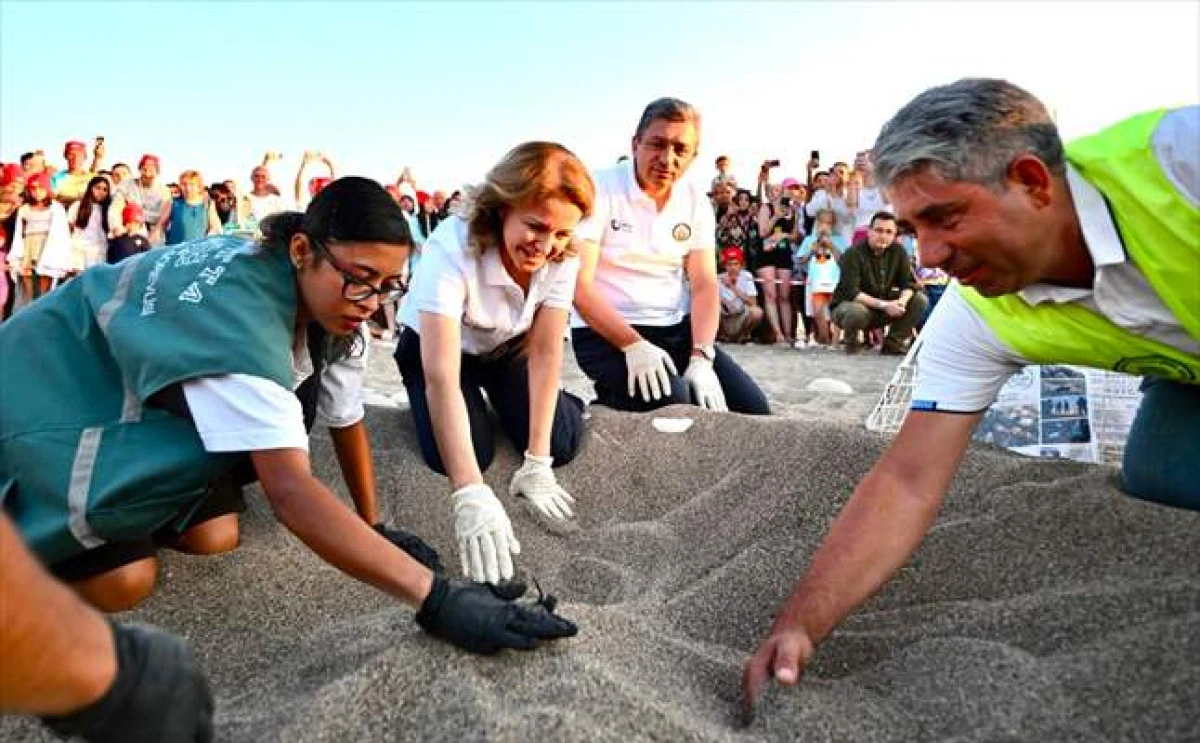 &Ccedil;ıralı Plajı'nda Caretta Caretta Yavruları Mavi Akdeniz İnisiyatifi İle Denize Ulaştı