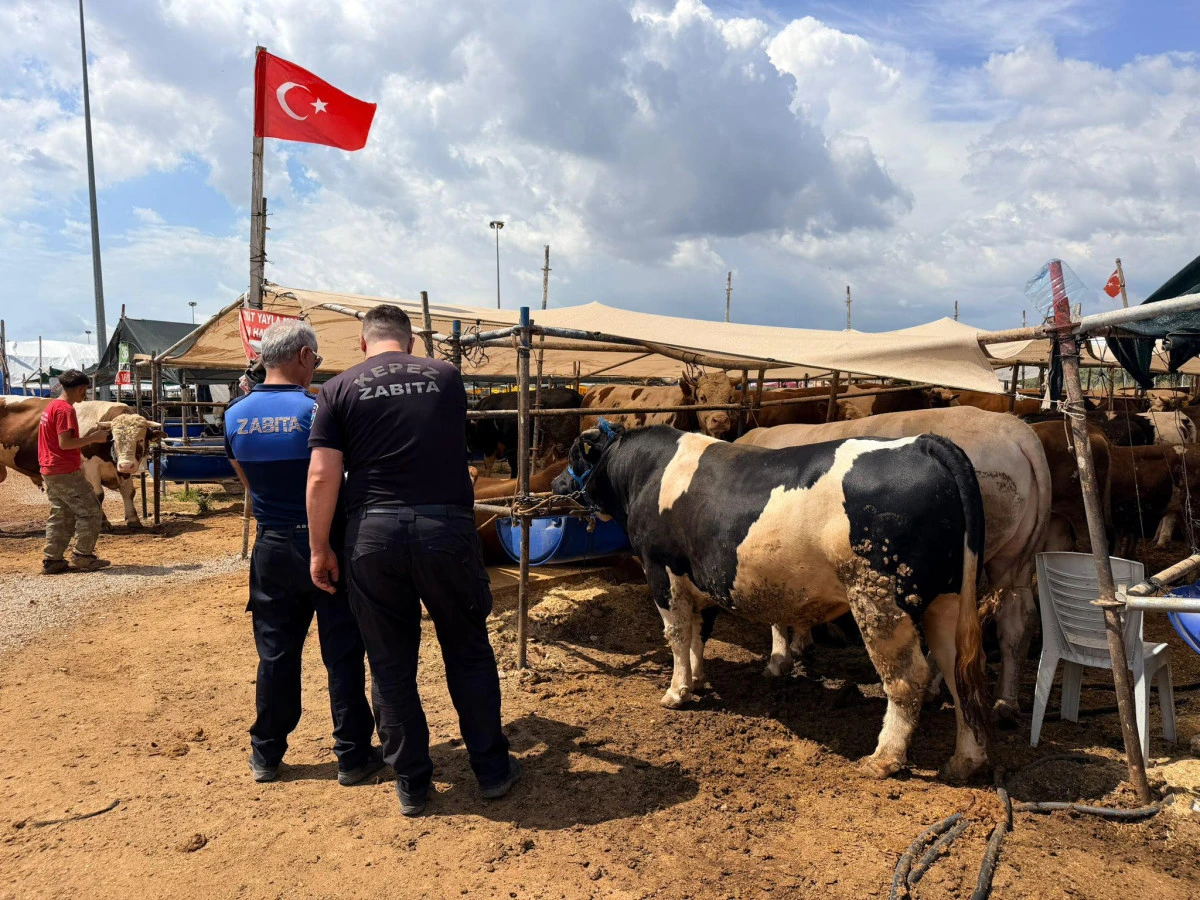 Kepez&rsquo;de Kurban Pazarları A&ccedil;ıldı; Vatandaşa G&uuml;venli ve D&uuml;zenli Hizmet